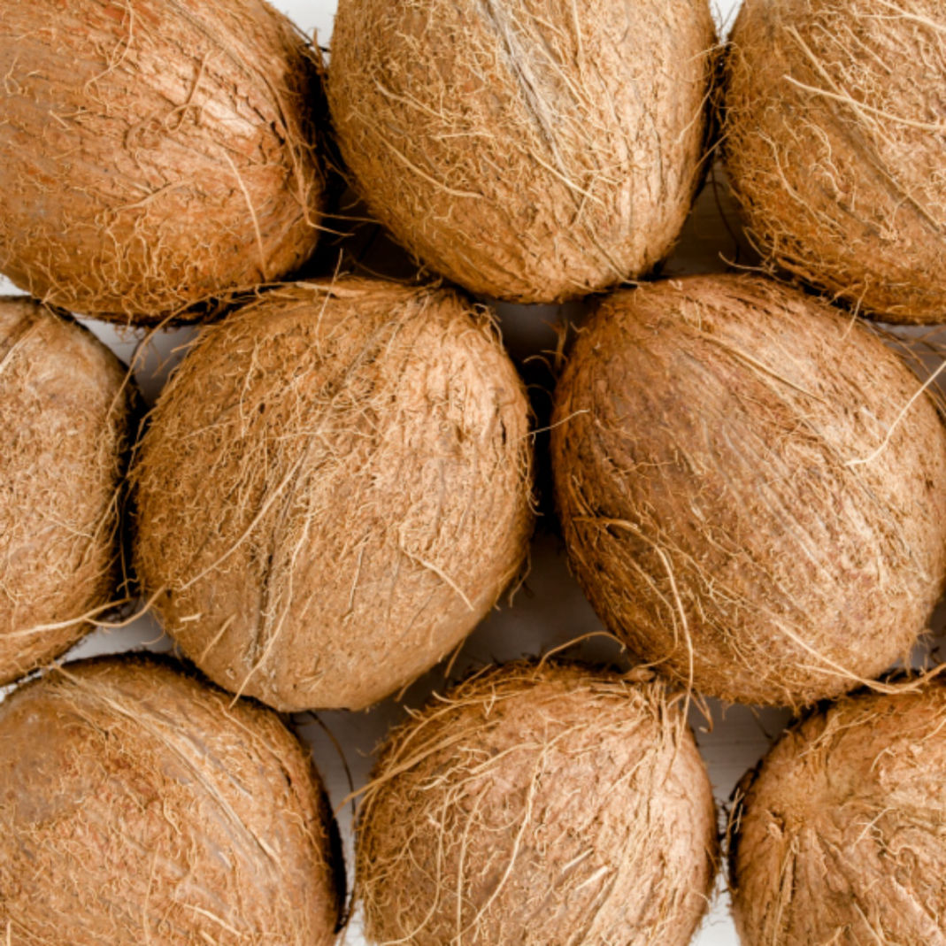 Kokosnüsse vor hellem Hintergrund